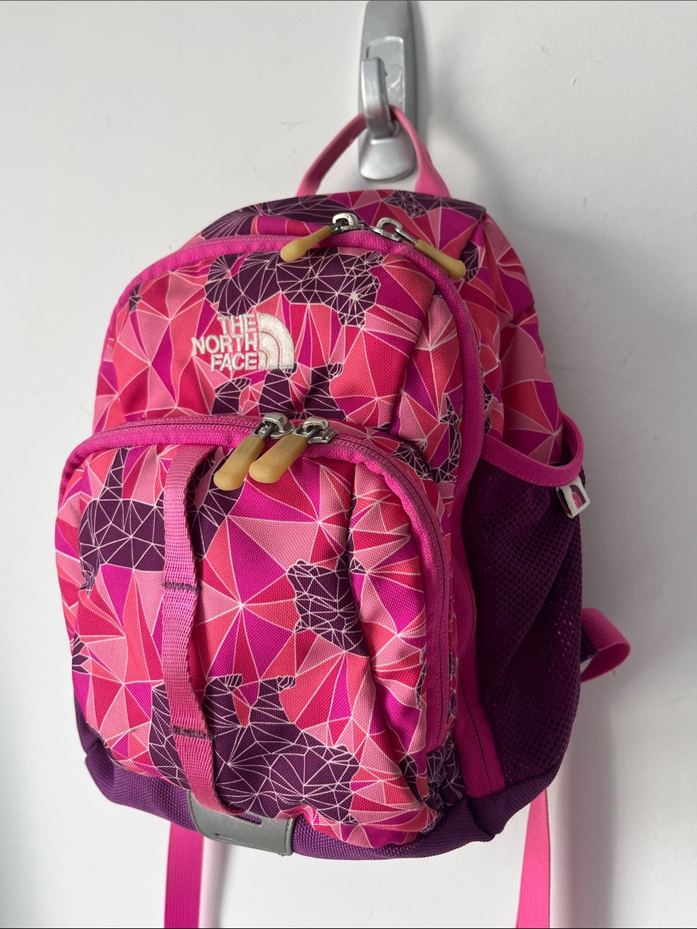 The North Face Youth Mini Explorer Backpack | Geometric Pattern | Sprout | Pink